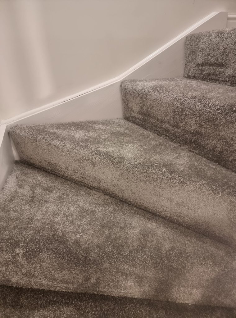 carpet-installation-after-preperation